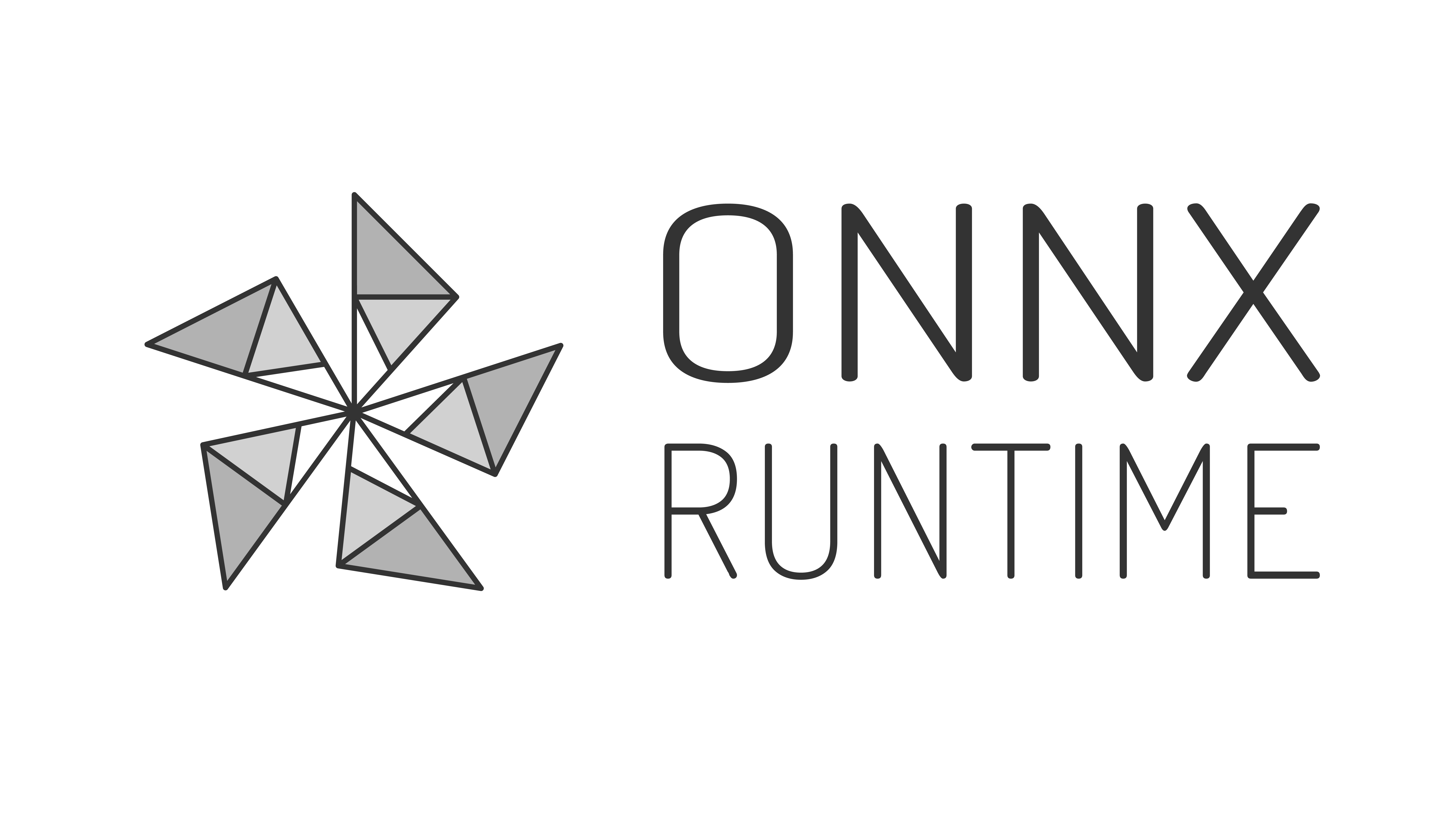 ONNX Runtime